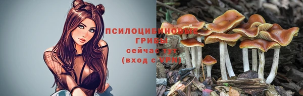 spice Алзамай