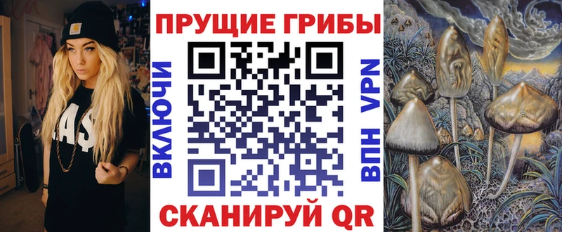 купить   Новая Ляля  Галлюциногенные грибы ЛСД 